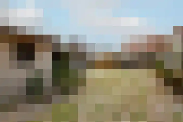 Molenhoek 39 Oldeberkoop thumbnail 21