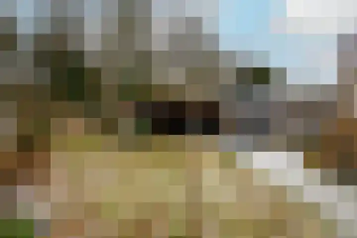 Molenhoek 39 Oldeberkoop thumbnail 22