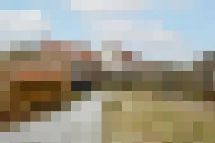 Molenhoek 39 Oldeberkoop thumbnail 23