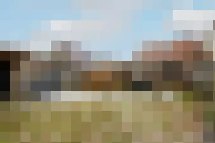 Molenhoek 39 Oldeberkoop thumbnail 25