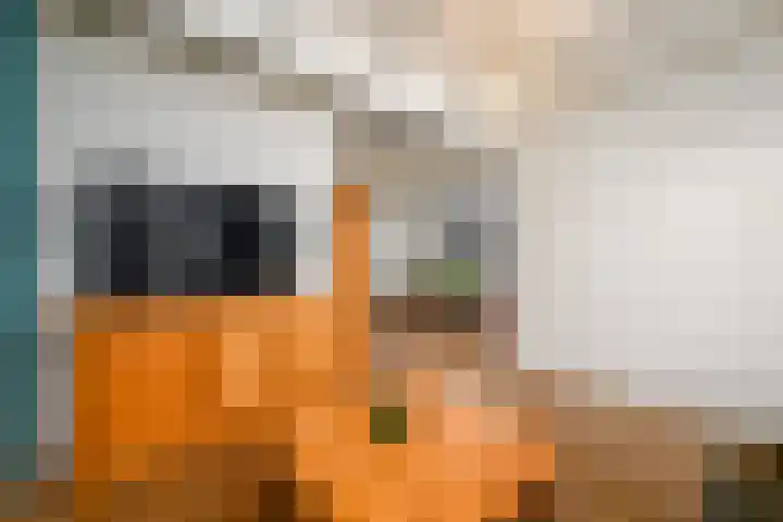Molenhoek 39 Oldeberkoop thumbnail 4