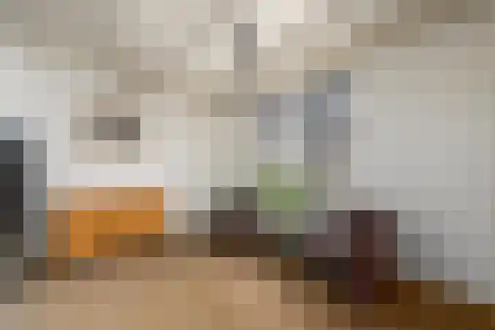 Molenhoek 39 Oldeberkoop thumbnail 5