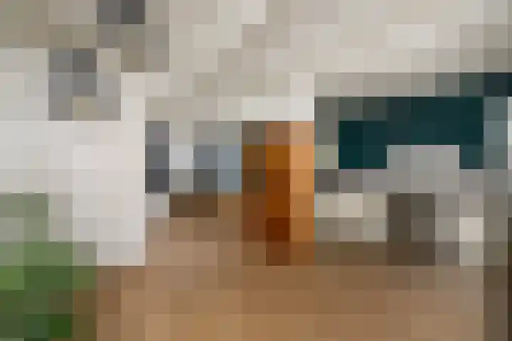 Molenhoek 39 Oldeberkoop thumbnail 7