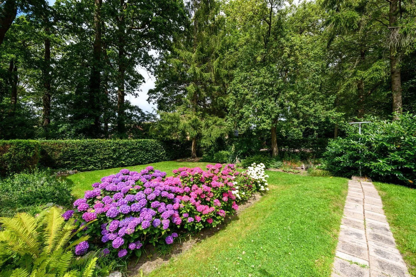 Molenhoek 42 Oldeberkoop thumbnail 34