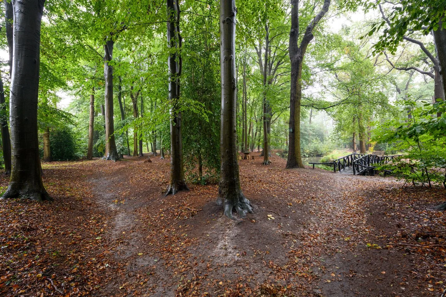 Molenhoek 42 Oldeberkoop thumbnail 41