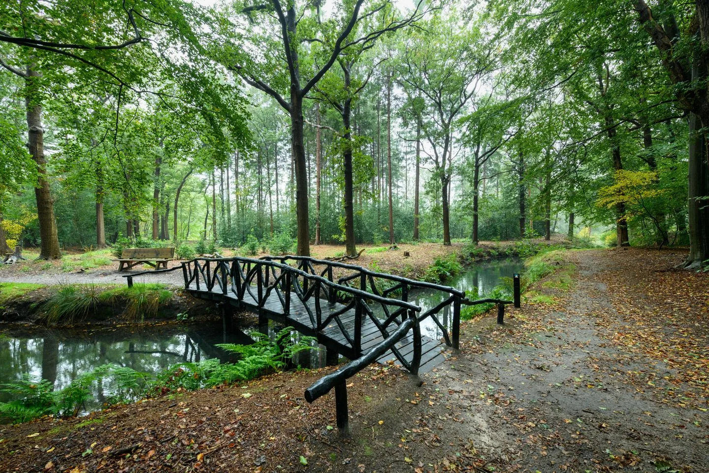 Molenhoek 42 Oldeberkoop thumbnail 42