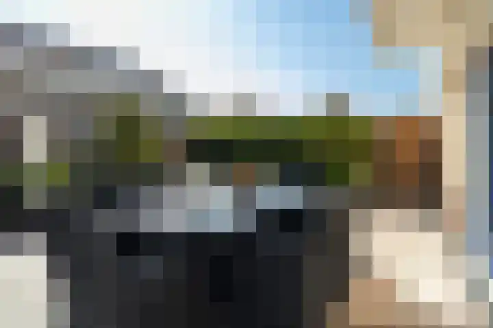Molenhoek 47 Kollum thumbnail 13