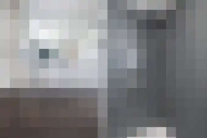 Molenhoek 47 Kollum thumbnail 30