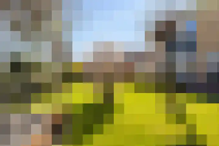 Molenhoek 47 Kollum thumbnail 31