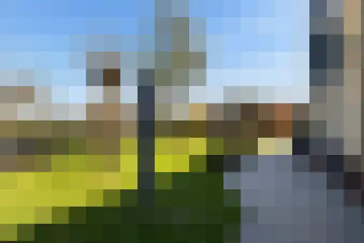 Molenhoek 47 Kollum thumbnail 32