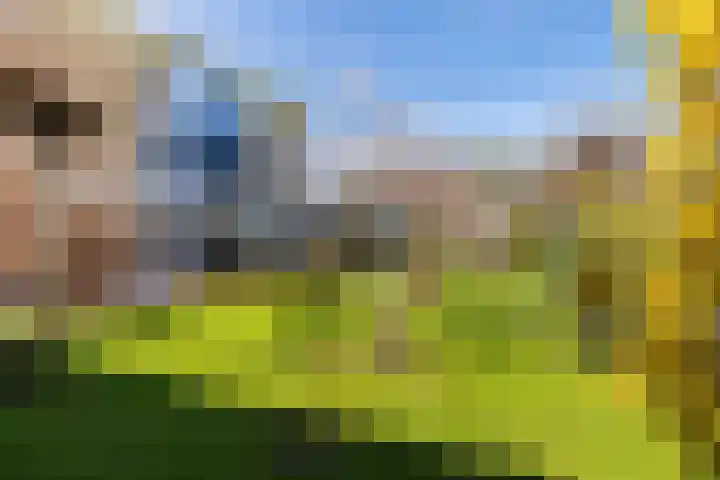 Molenhoek 47 Kollum thumbnail 34