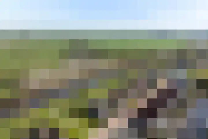 Molenhoek 47 Kollum thumbnail 39