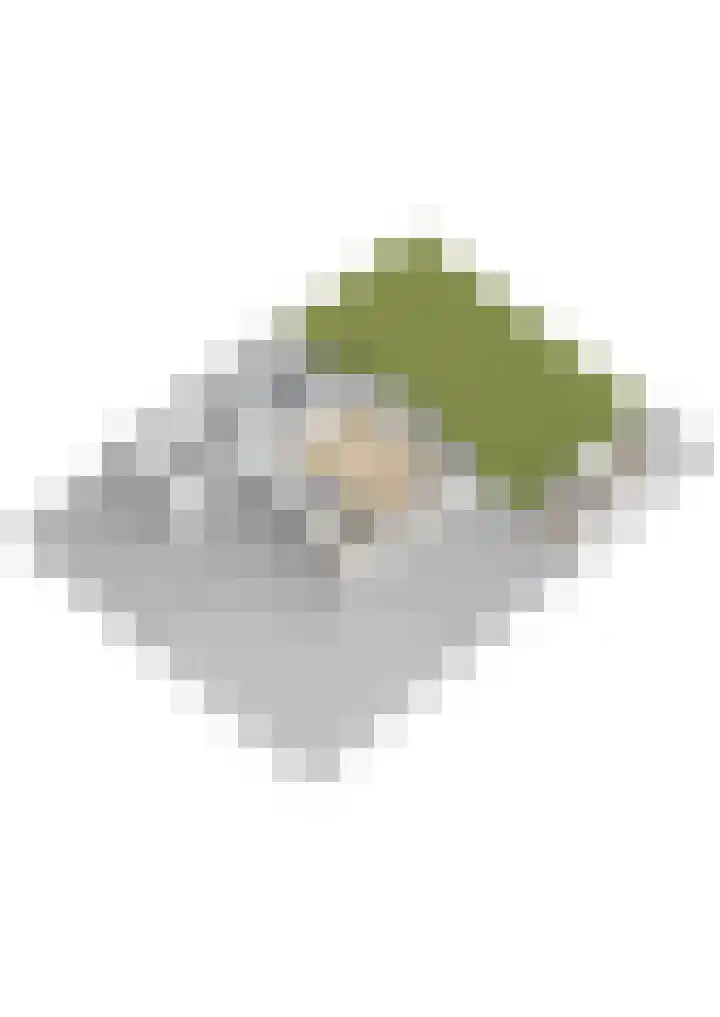 Molenhoek 47 Kollum thumbnail 47