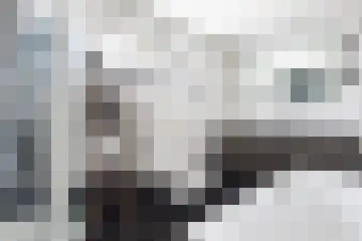 Molenhoek 47 Kollum thumbnail 5