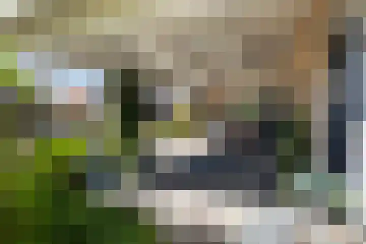 Molenhoek 47 Kollum thumbnail 8