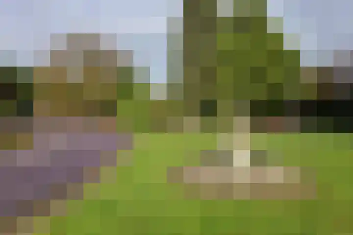 Molenhoek 5 Vlijmen thumbnail 10