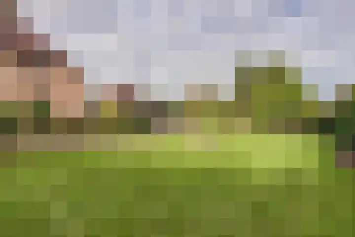 Molenhoek 5 Vlijmen thumbnail 11
