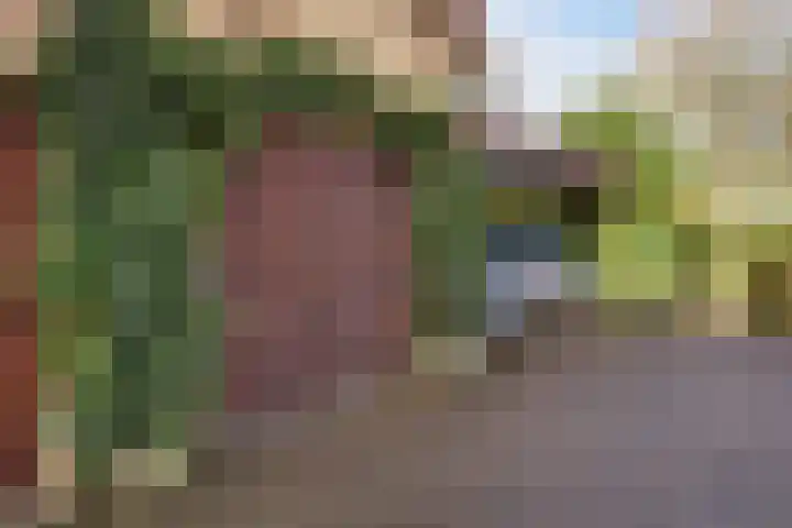 Molenhoek 5 Vlijmen thumbnail 12