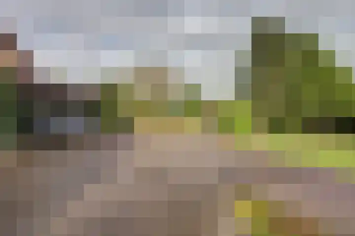 Molenhoek 5 Vlijmen thumbnail 13