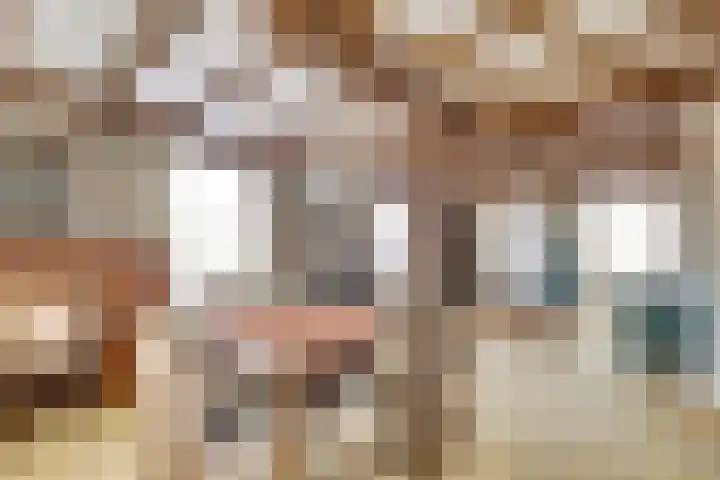 Molenhoek 5 Vlijmen thumbnail 18