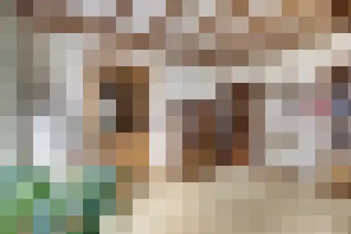 Molenhoek 5 Vlijmen thumbnail 22