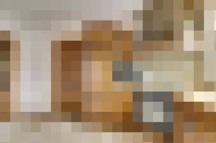 Molenhoek 5 Vlijmen thumbnail 27