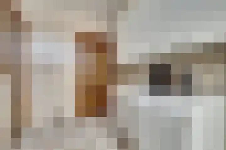 Molenhoek 5 Vlijmen thumbnail 28