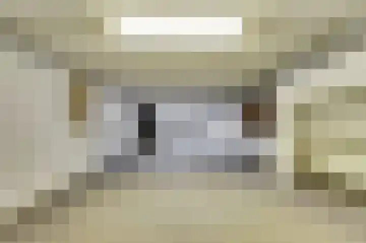 Molenhoek 5 Vlijmen thumbnail 30