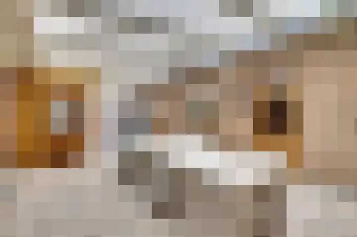 Molenhoek 5 Vlijmen thumbnail 46