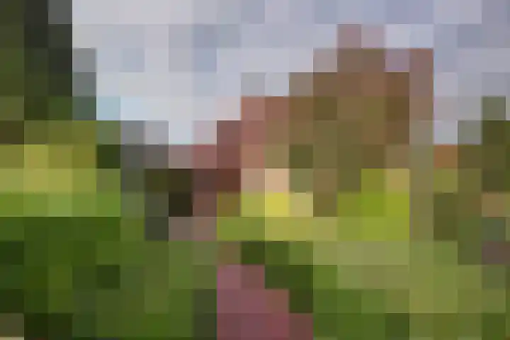 Molenhoek 5 Vlijmen thumbnail 5