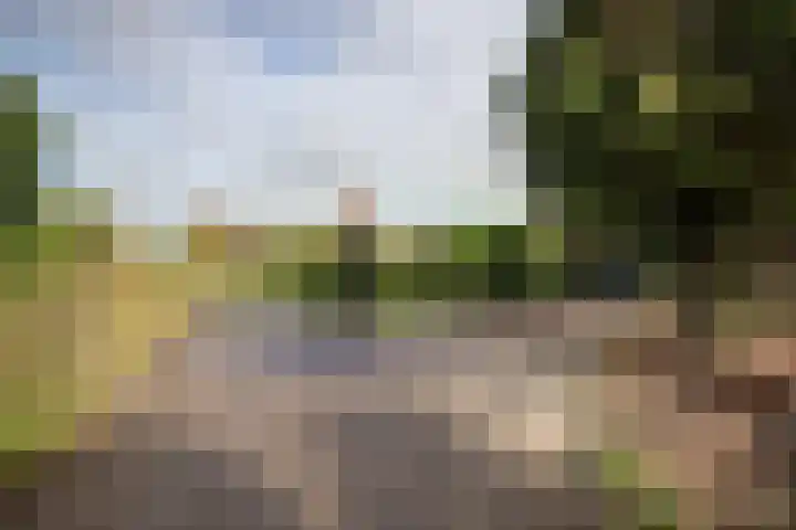 Molenhoek 5 Vlijmen thumbnail 52