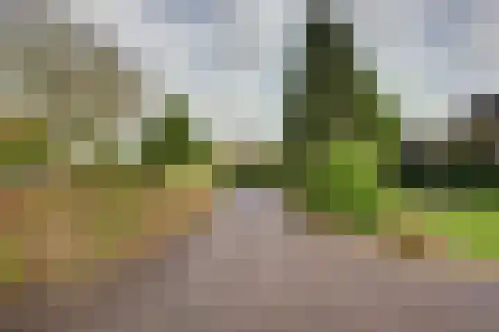 Molenhoek 5 Vlijmen thumbnail 53