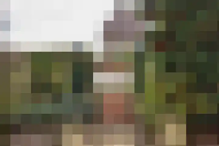 Molenhoek 5 Vlijmen thumbnail 54