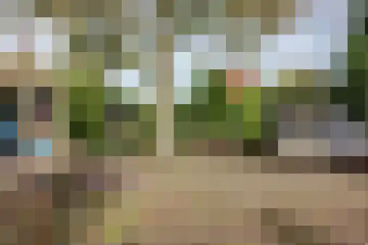 Molenhoek 5 Vlijmen thumbnail 55