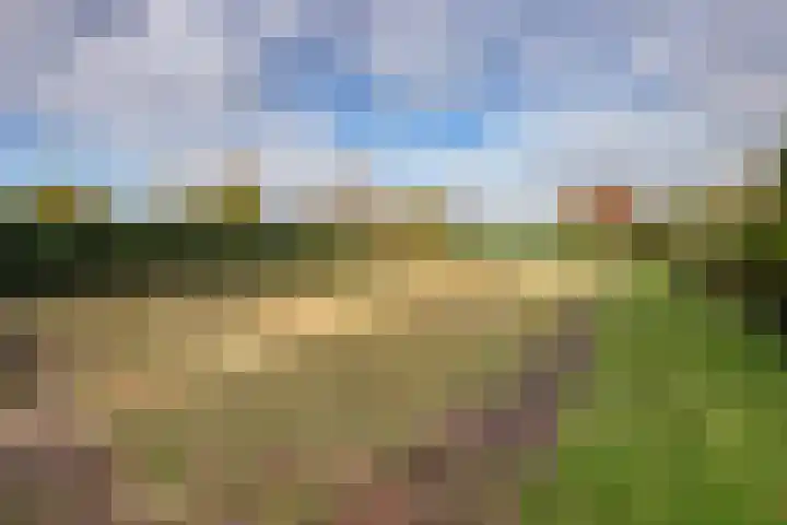 Molenhoek 5 Vlijmen thumbnail 56