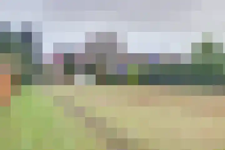 Molenhoek 5 Vlijmen thumbnail 57