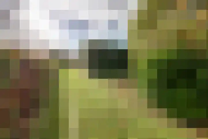 Molenhoek 5 Vlijmen thumbnail 58