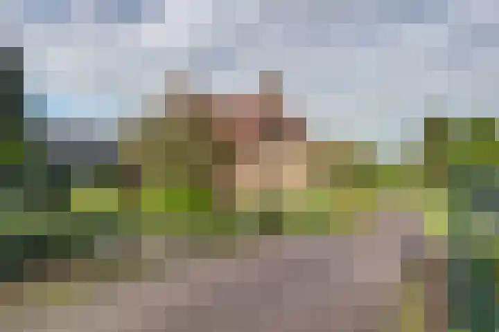Molenhoek 5 Vlijmen thumbnail 6