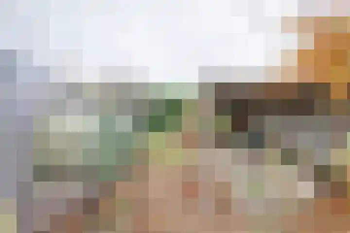 Molenhoek 5 Vlijmen thumbnail 60