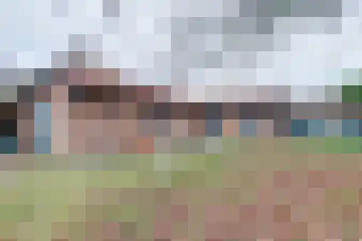 Molenhoek 5 Vlijmen thumbnail 62
