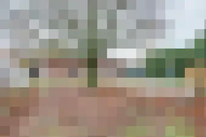 Molenhoek 5 Vlijmen thumbnail 63