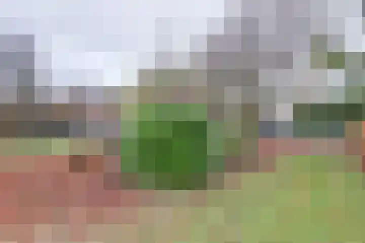 Molenhoek 5 Vlijmen thumbnail 64