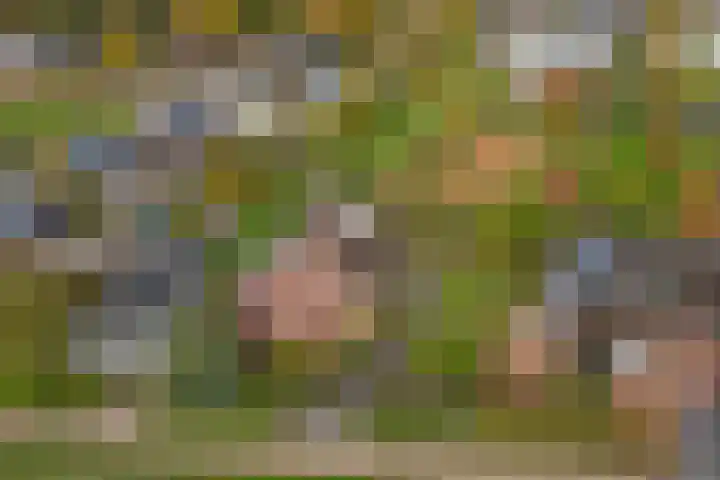 Molenhoek 5 Vlijmen thumbnail 65
