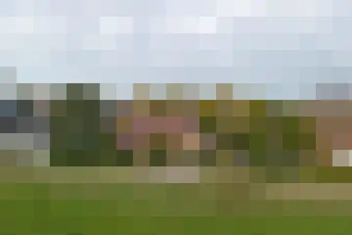 Molenhoek 5 Vlijmen thumbnail 67