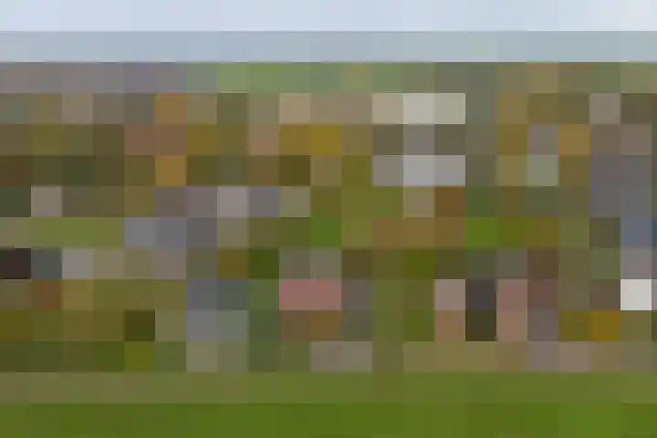 Molenhoek 5 Vlijmen thumbnail 68