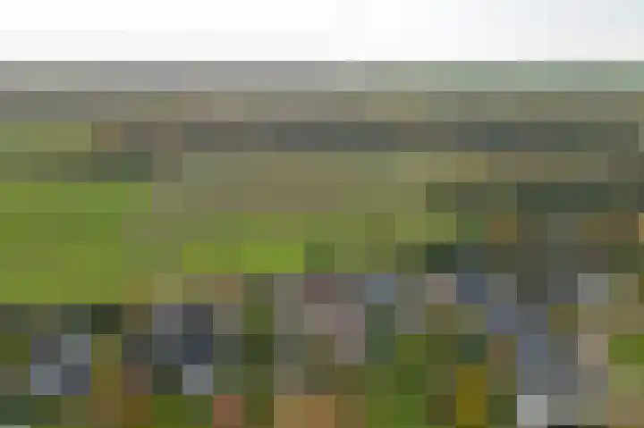 Molenhoek 5 Vlijmen thumbnail 69