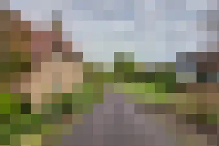 Molenhoek 5 Vlijmen thumbnail 7