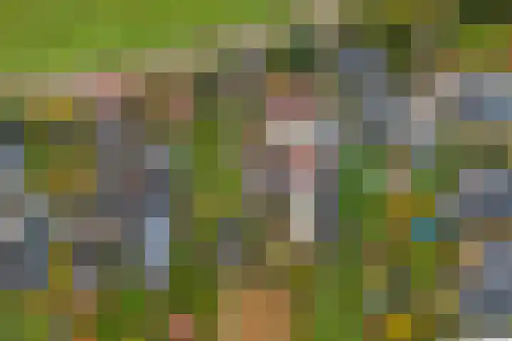 Molenhoek 5 Vlijmen thumbnail 71