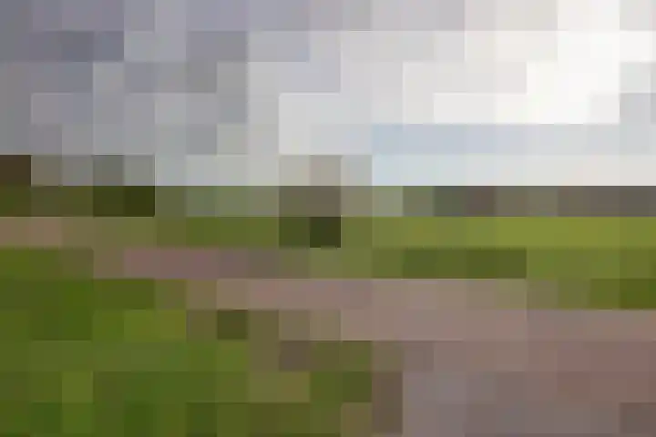 Molenhoek 5 Vlijmen thumbnail 72