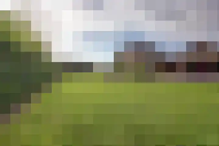 Molenhoek 5 Vlijmen thumbnail 9